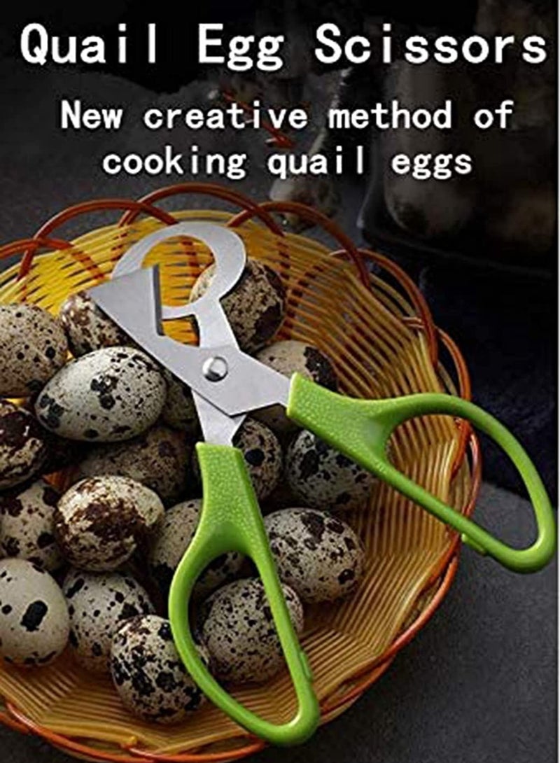 Zikra 2pcs Stainless Steel Pigeon Quail Egg Scissors, Bird Egg Cutter Opener, Shears Tool for Home Kitchen, Green - Image 2