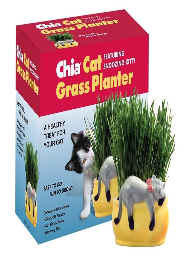 Chia Pet Kitty Cat Grass, Decorative Pottery Planter, Easy to Do and Fun to Grow, Novelty Gift, Perfect for Any Occasion