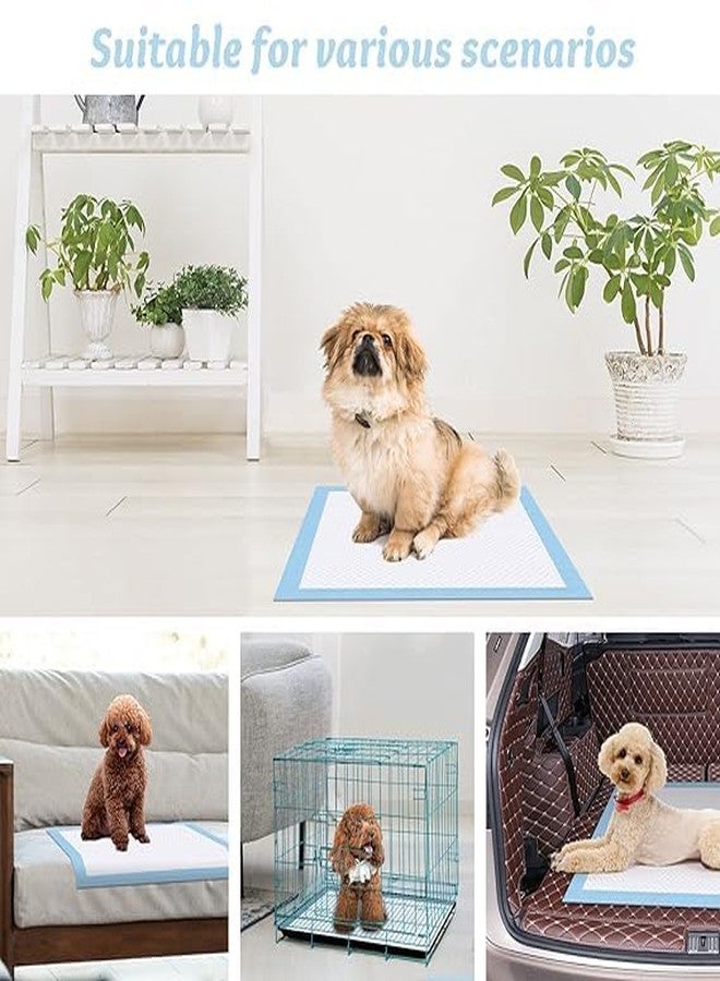 BUYOCKSS Puppy Training Pads Super Absorbent, Water Proof, Non Slippery, 60X90cm, Large, 10 Count, (puppy10) - Image 2