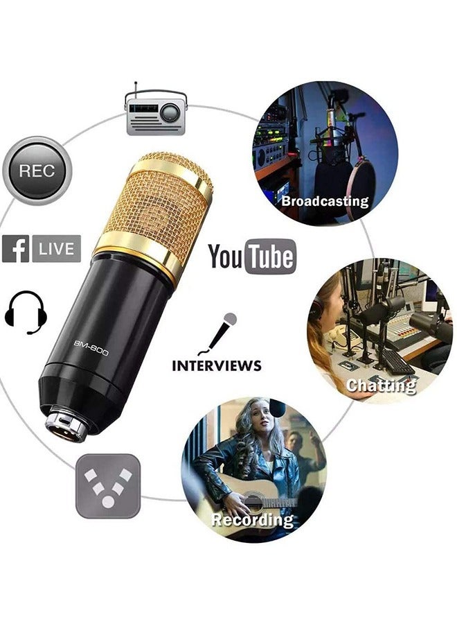 Condenser Microphone BundleMic Kit with Live Sound Card, Adjustable Mic Suspension Scissor Arm BM8006 Gold - Image 2