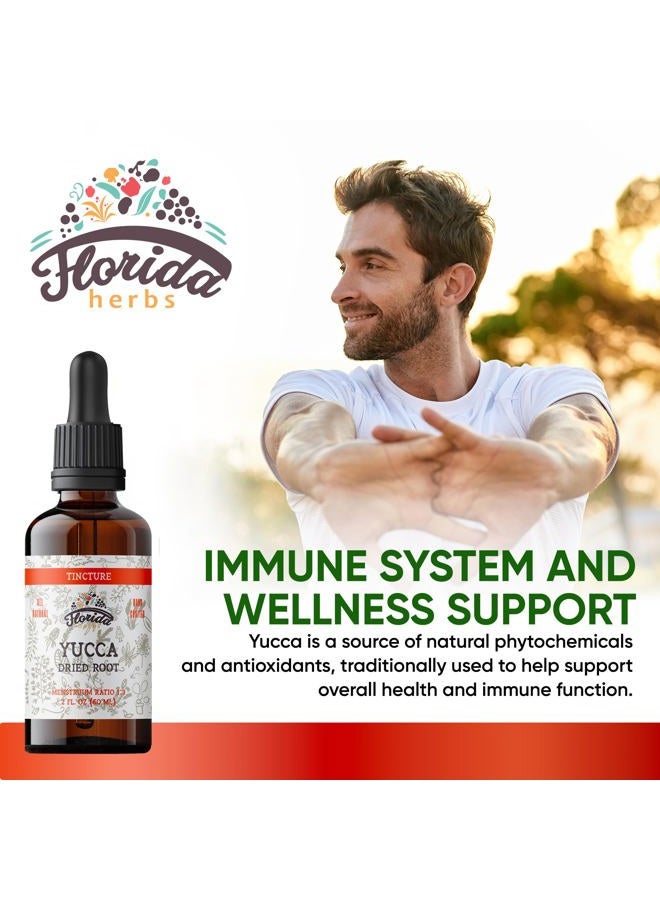 FLORIDA HERBS صبغة يوكّا من فلوريدا هيربز، مستخلص عضوي (يوكّا غلاوكا) جذر مجفف مكمل عشبي، غير معدل وراثيًا في غليسرين نباتي مضغوط على البارد، 700 ملغ، 2 أونصة (60 مل) - Image 2
