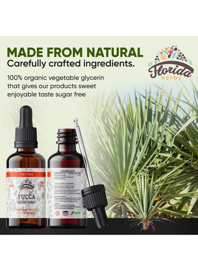 FLORIDA HERBS صبغة يوكّا من فلوريدا هيربز، مستخلص عضوي (يوكّا غلاوكا) جذر مجفف مكمل عشبي، غير معدل وراثيًا في غليسرين نباتي مضغوط على البارد، 700 ملغ، 2 أونصة (60 مل) - Image 3