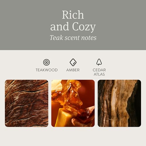 Drift Car Air Freshener - Stone Air Freshener Car Odor Eliminator - Long Lasting Scent - Auto Accessories - Metal Clip - Essential Oils - Clean Ingredients - Teak Scent Starter Kit - Image 3