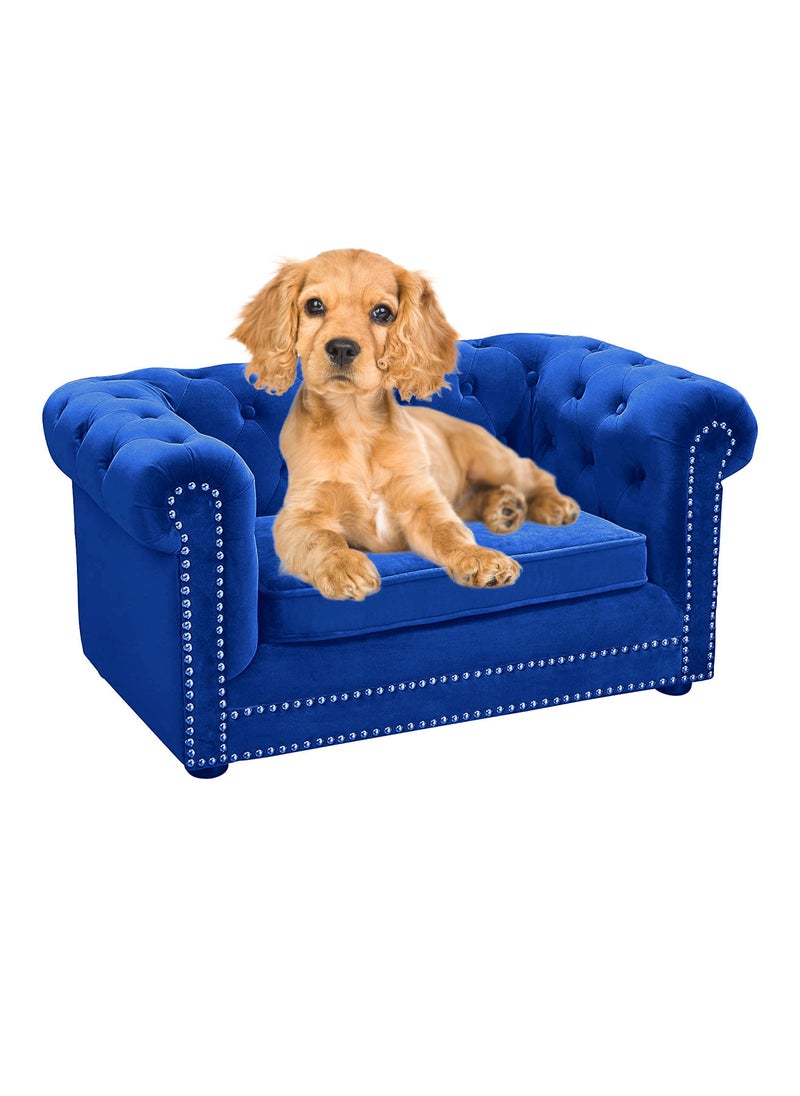 CHEWY BONE Dogs Bed and Furniture Luxury Dog Sofa Calming Foam & Fluffy Elevated dog bed chair with removable cushion for XS Dog bed & Puppies  - Image 1