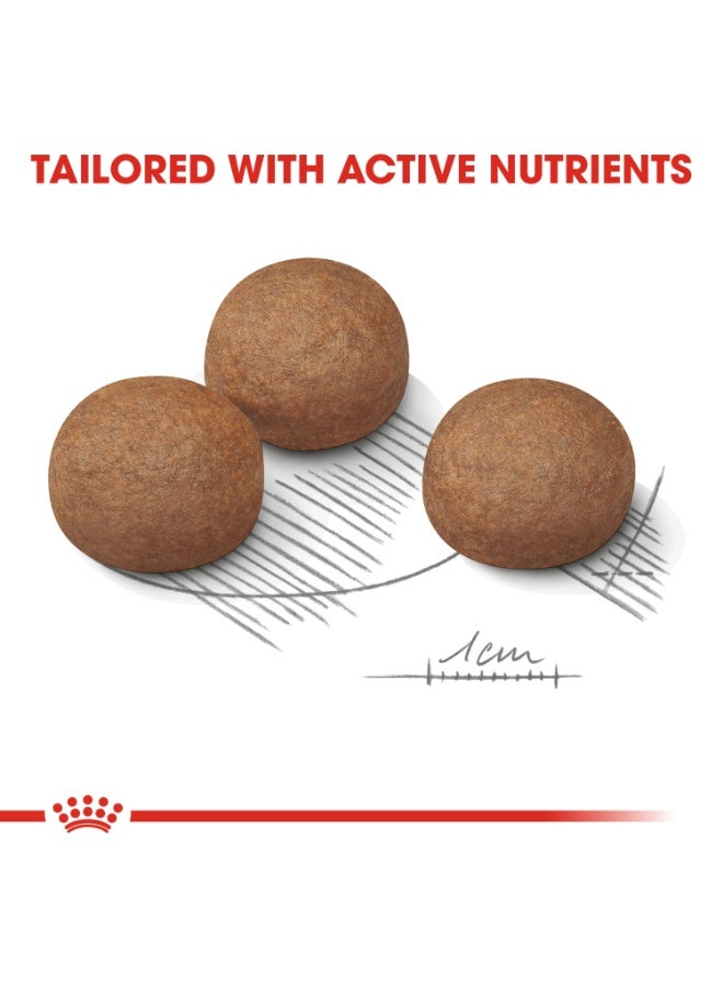 رويال كانين كانين كير نيوترشن ماكسي دايجستف كير 12 كجم - Image 2