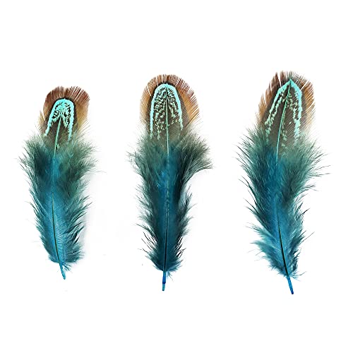 HAPPY FEATHER 50 pcs Natural Pheasant Plumage Feathers 2-3 Inches Plumage Feathers for Sewing Crafts Clothing Decorating Accessories -Blue - Image 5
