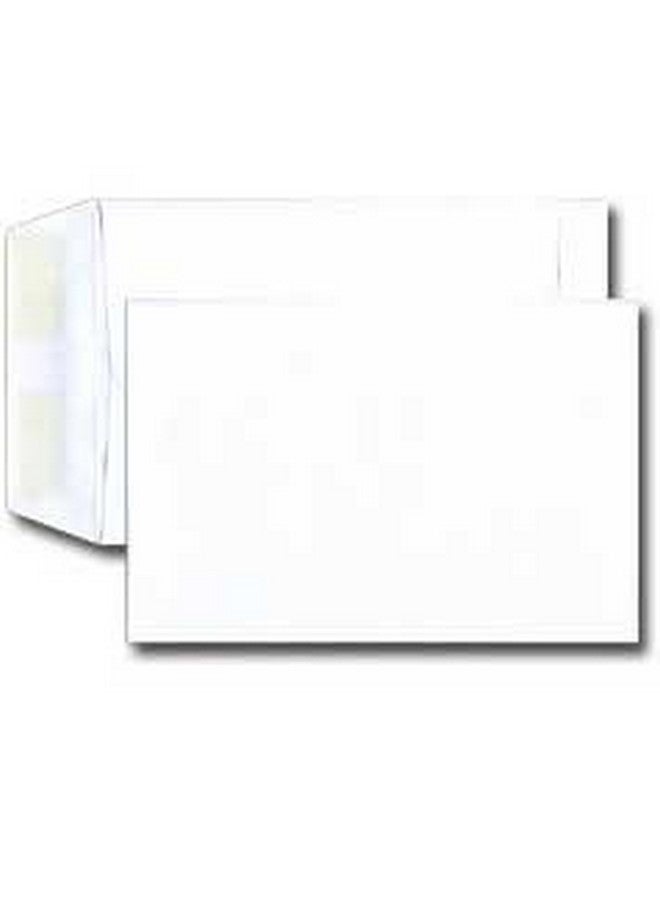 6 1/2 X 9 1/2 Catalog Envelope Open End 24 White (6.5 X 9.5) Jumbo Envelope Series (Box Of 500)
