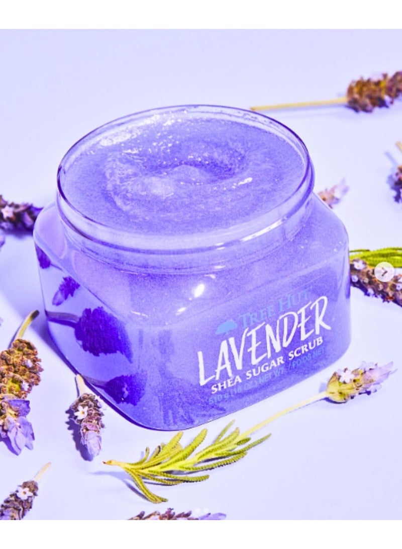 تري هت مقشر سكر الشيا، لافندر، 510 جرام | مقشر للجسم بزبدة الشيا والزيوت الطبيعية | علاج عطري مريح برائحة اللافندر | تقشير عميق وترطيب فائق - Image 3