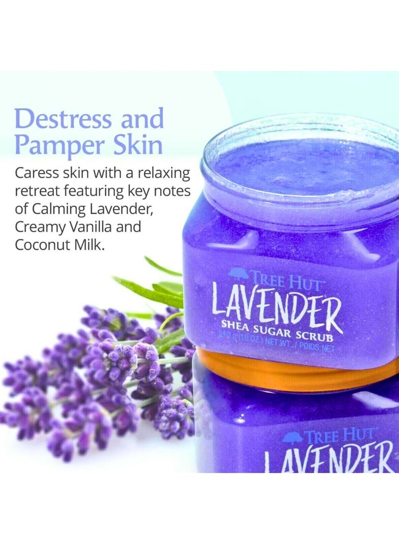 تري هت مقشر سكر الشيا، لافندر، 510 جرام | مقشر للجسم بزبدة الشيا والزيوت الطبيعية | علاج عطري مريح برائحة اللافندر | تقشير عميق وترطيب فائق - Image 2