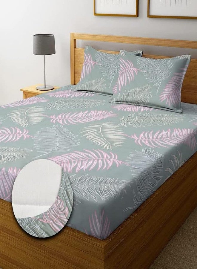 SHOPICTED Premium Cotton Elastic Fitted Bedsheets with 2 Pillow Covers | Double Bed with All Around Elastic 220 TC Supersoft | Size - 72 King Sizex78+10 inches | Abstract, Green and Pink Feather - Image 1