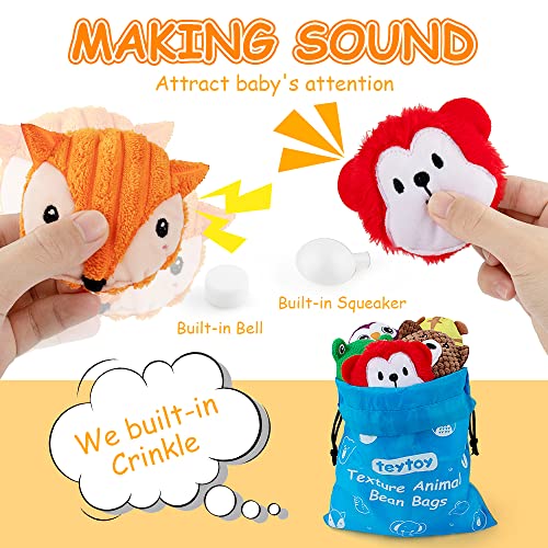 teytoy Sensory Bean Bag for Kids 10 Pack,Texture Sensory Beanbags,Sensory Toys for Autism,Animal Sensory Fine Motor Toys with Storage Bag for Boys and Girls - Image 4