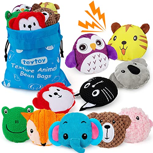 teytoy Sensory Bean Bag for Kids 10 Pack,Texture Sensory Beanbags,Sensory Toys for Autism,Animal Sensory Fine Motor Toys with Storage Bag for Boys and Girls - Image 1