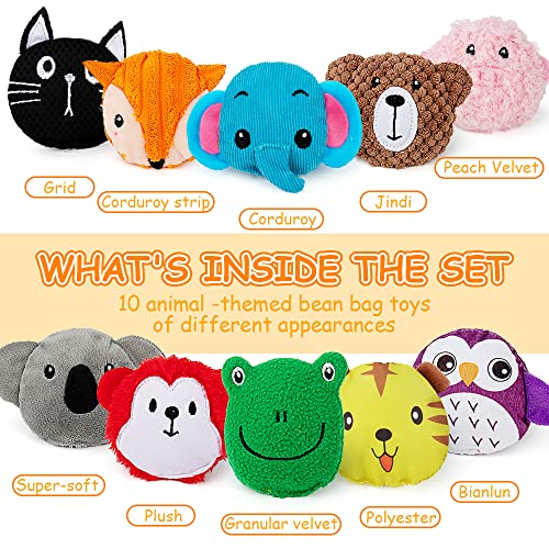 teytoy Sensory Bean Bag for Kids 10 Pack,Texture Sensory Beanbags,Sensory Toys for Autism,Animal Sensory Fine Motor Toys with Storage Bag for Boys and Girls - Image 3