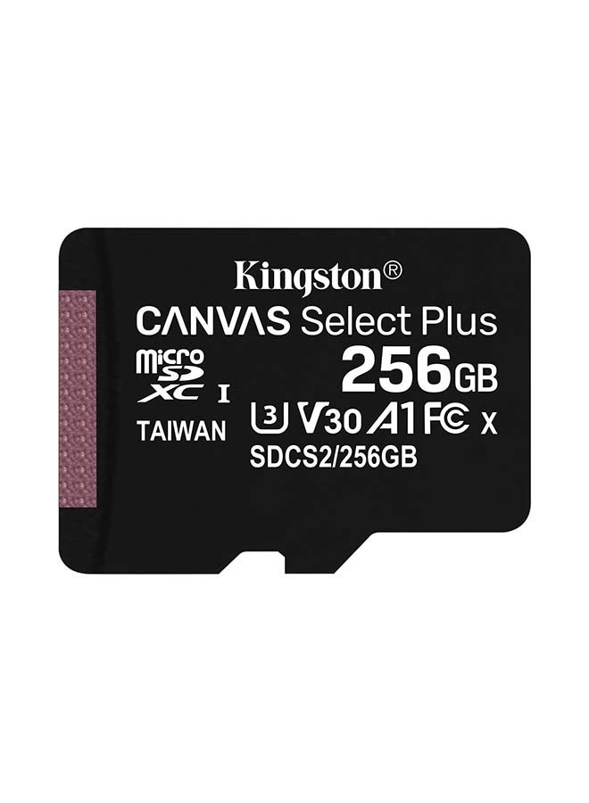 Kingston 256GB micSDXC Canvas Select Plus 100R A1 C10 Single Pack w/o ADP - Image 1