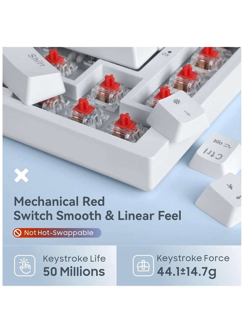 Baytion 82-Key 75% Mechanical Gaming Keyboard, Compact Wired Keyboard with Rainbow LED Backlight, Red Switches, Anti-Ghosting Keys & Multifunction Knob - Image 2