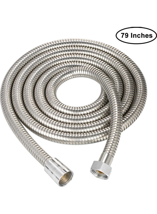 NIBEMINENT Stainless Steel Flexible Shower Hose Silver 79inch - Image 1