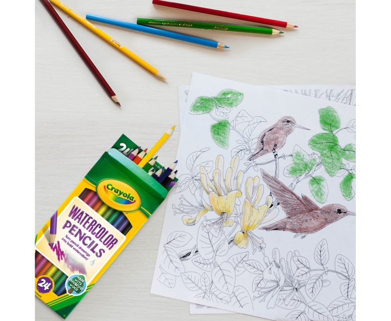 Crayola Watercolor Colored Pencils (24ct), Watercolor Paint Alternative, Watercolor Pencil Set for Kids, Art Supplies, Gift for Kids, 3+ - Image 4