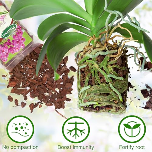 POLIUMB Orchid Bark Potting Mix,Premium Orchid Potting Mixture of Pine Bark and Perlite,Good Ventilation and Water Retention for Repotting Orchids and Growing Indoor Plants,2QT - Image 3