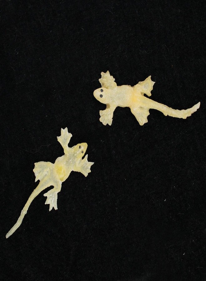 FULLY Real Looking Lizard Toy for Kids Fake Lizard Prank Toy Rubber Lizard Toy for Kids Scary Prank Items (Multicolor) - Image 5