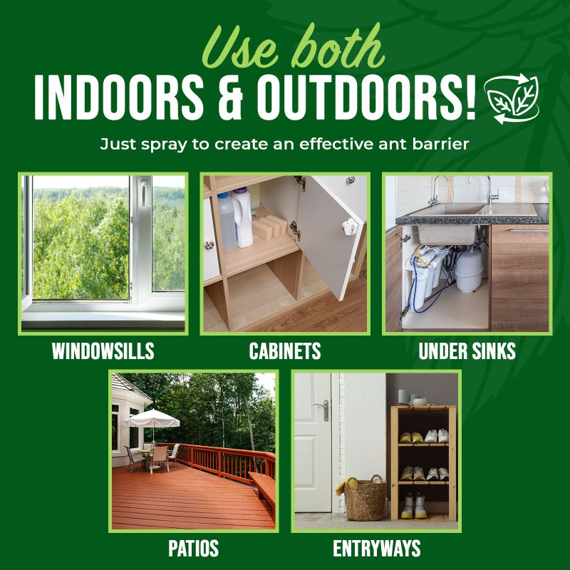 Mighty Mint Peppermint Oil Ant Killer Spray â€“ Natural Ant Repellent for Indoor & Outdoor Use â€“ Plant-Based Insect & Pest Control â€“ 16 oz - Image 5