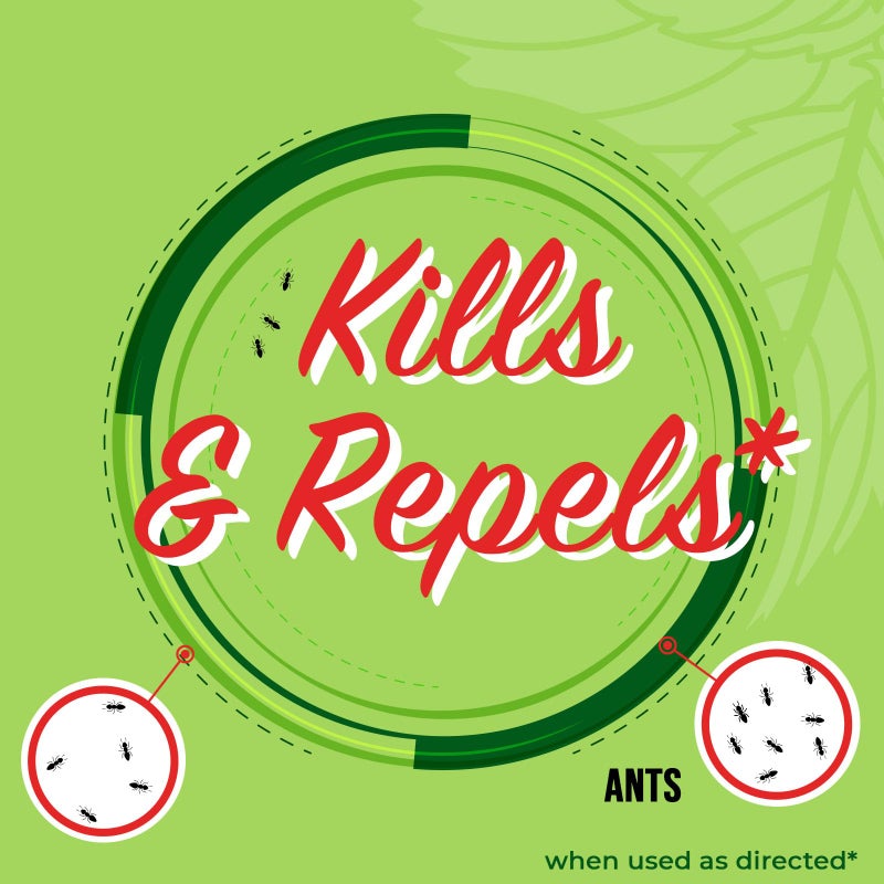 Mighty Mint Peppermint Oil Ant Killer Spray â€“ Natural Ant Repellent for Indoor & Outdoor Use â€“ Plant-Based Insect & Pest Control â€“ 16 oz - Image 3