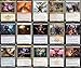 MTG Decks & More Elite Commander Deck Angel Demon Dragon Kaalia of The Vast Mardu Black Red White EDH cEDH 100 Card Custom MTG Deck Very Strong - Image 4