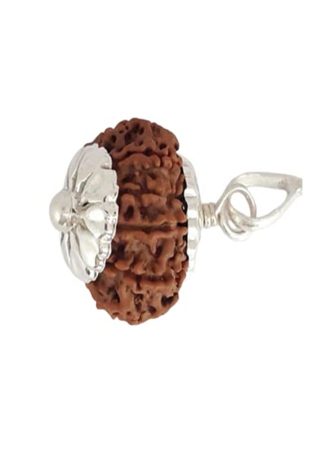 IRIS GEMS 9 Mukhi Rudraksha 22mm Pendant नव मुखी रुद्राक्ष 9 Face Rudraksha Original Nepal Certfied 9 मुखी रुद्राक्ष Nau Mukhi Rudraksha Nine Faced Rudraksha - Image 3