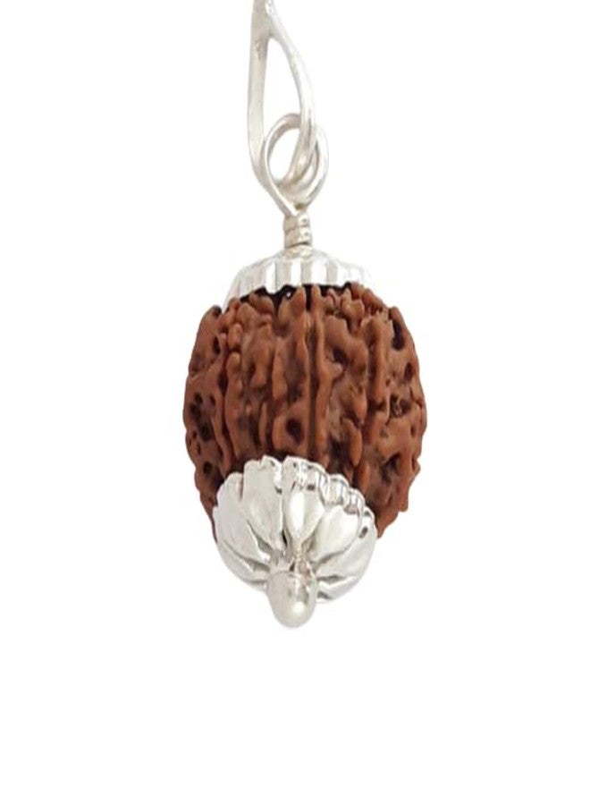 IRIS GEMS 9 Mukhi Rudraksha 22mm Pendant नव मुखी रुद्राक्ष 9 Face Rudraksha Original Nepal Certfied 9 मुखी रुद्राक्ष Nau Mukhi Rudraksha Nine Faced Rudraksha - Image 1