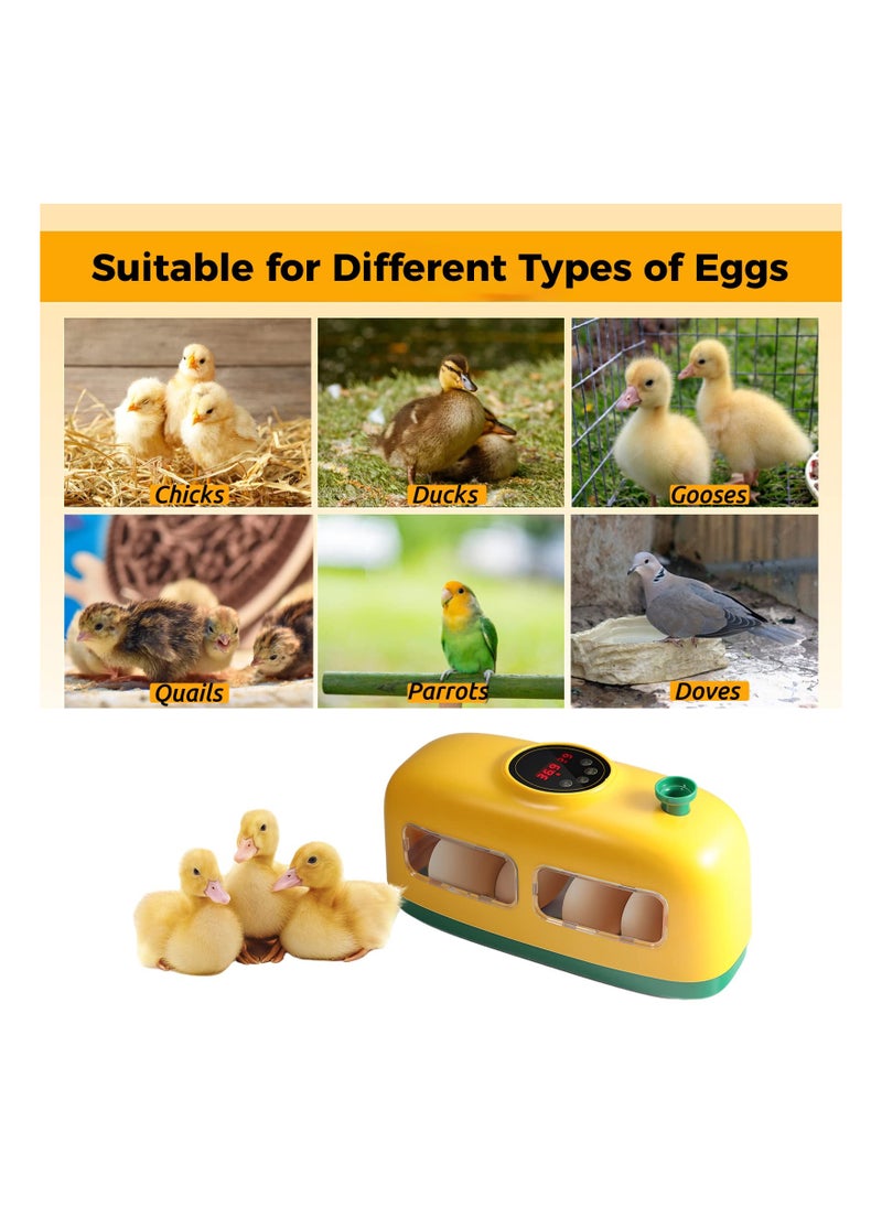 SYOSI - Egg Incubator, 8 Eggs Incubator with Led Candler Temperature Humidity Control and Display, Digital Incubator Educational Tool for Chicken Duck Goose Quail Bird Eggs, A Great Educational Tool - Image 1