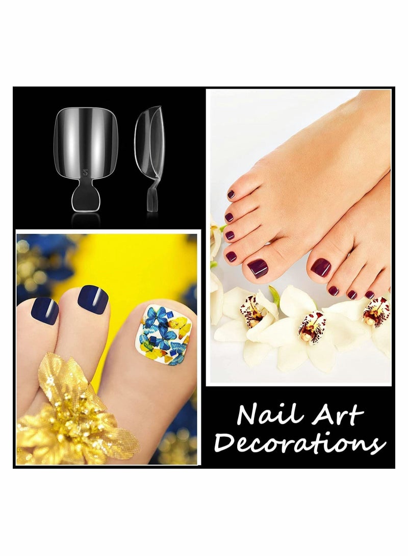 Captaintech False Toenails Tip with Box, 200 Pieces Acrylic Artificial Toenails French Full Cover Toe Art Nails Fake Tips for Women, 10 Sizes for Nail Salon and DIY Foot Decoration (Clear) - Image 3