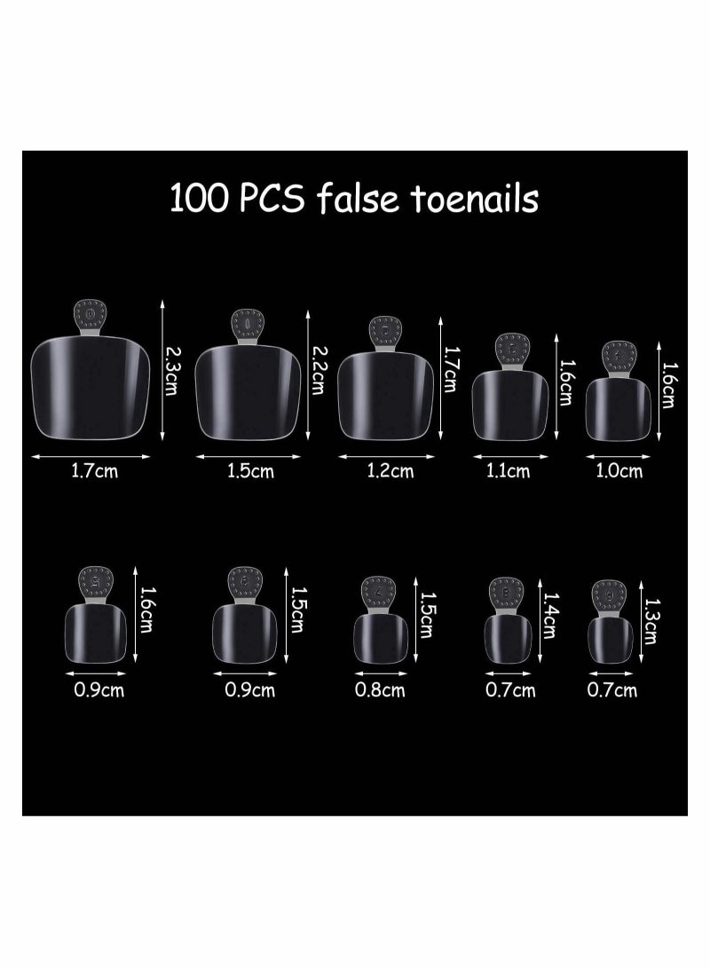 Captaintech False Toenails Tip with Box, 200 Pieces Acrylic Artificial Toenails French Full Cover Toe Art Nails Fake Tips for Women, 10 Sizes for Nail Salon and DIY Foot Decoration (Clear) - Image 4