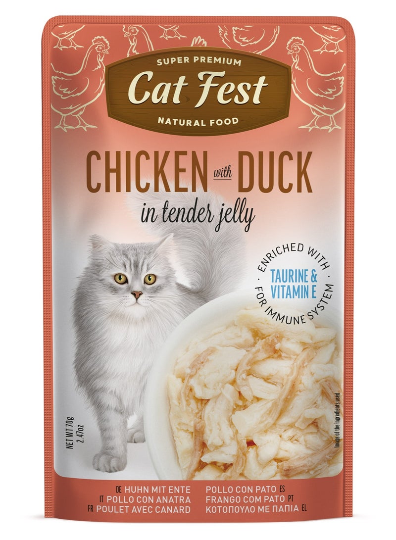 Cat Fest CatFest Chicken with Duck in Tender Jelly, Gourmet Wet Cat Food, Soft Texture, Grain-Free, High Protein, 70g Pouch  - Image 1