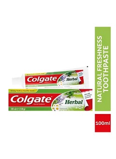Herbal Toothpaste - Enriched with Natural Extracts - Strong & Healthy Gums  - With the Goodness of Eucalyptus, Myrrh, Sage, Chamomile  - 100 ml