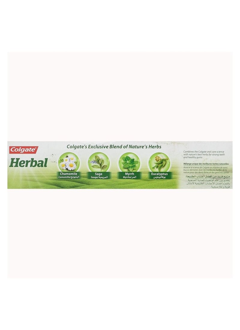 Colgate - Herbal Toothpaste - Enriched with Natural Extracts - Strong & Healthy Gums  - With the Goodness of Eucalyptus, Myrrh, Sage, Chamomile  - 100 ml - Image 1