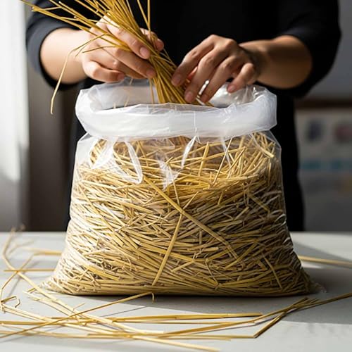 Gachwala 12x18 Inch PP Bags – 500 GM Transparent Poly Bags for Sarees, Clothes, Garments, Food Packing & Multi-Purpose Storage - Image 4