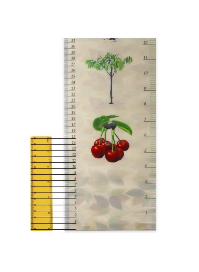 Iywish Growth Charts for Kids Hanging Ruler Wall Decals Height Chart Growth Chart Sticker Height Measure Chart for Girls Boys Removable Waterproof Baby Growth Chart Height Measure Home Room Decoration - Image 5