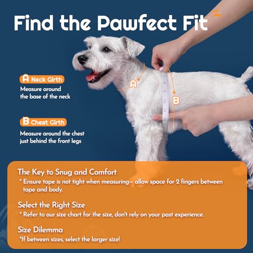 Eagloo Small Dog Harness and Leash Set, Step in Puppy Vest with Breathable Soft Mesh, Walking Reflective Pet Harness for Small Dogs, Blue, S - Image 2