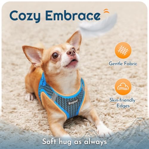 Eagloo Small Dog Harness and Leash Set, Step in Puppy Vest with Breathable Soft Mesh, Walking Reflective Pet Harness for Small Dogs, Blue, S - Image 4