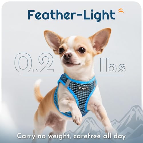 Eagloo Small Dog Harness and Leash Set, Step in Puppy Vest with Breathable Soft Mesh, Walking Reflective Pet Harness for Small Dogs, Blue, S - Image 5