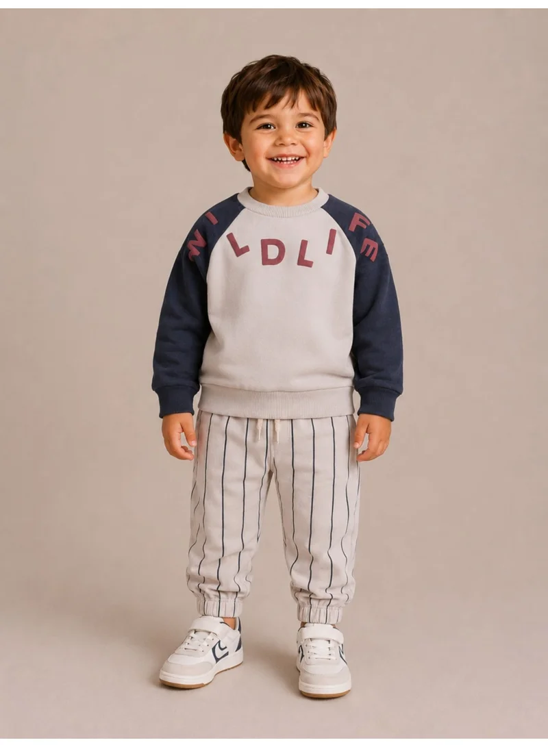 Dirkje Boys "WILDLIFE" Graphic Sweatshirt & Striped Jogger Pants Set