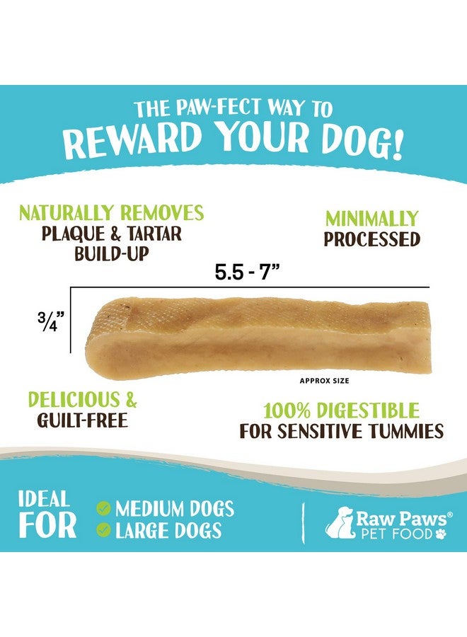 Raw Paws Himalayan Yak Chews for Dogs, Large (4 Pack) - Packed in USA - Tibetan Yak Cheese Dog Chews for Medium to Large Breeds - Hard Milk Dog Chew Bones - Single Ingredient - Long Lasting - Image 3