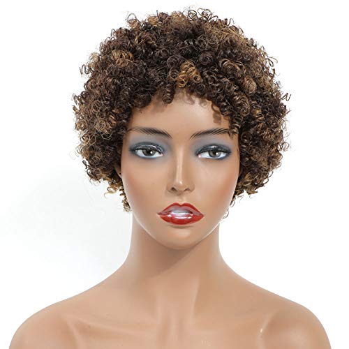 Ms Taj Short Afro Kinky Curly Human Hair Wigs for Black Women Brazilian Virgin Short Curly Afro Wigs Human Hair 150% Density (FS 4/30#) - Image 1