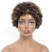 Ms Taj Short Afro Kinky Curly Human Hair Wigs for Black Women Brazilian Virgin Short Curly Afro Wigs Human Hair 150% Density (FS 4/30#) - Image 2