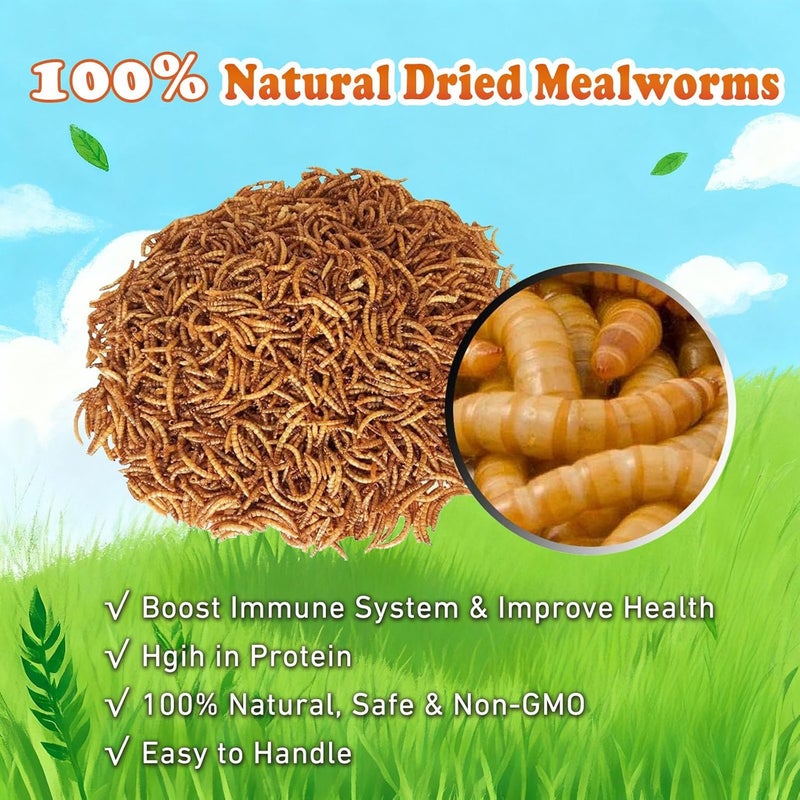 Amzey دود الطعام المجفف من Amzey، وزن 2 رطل، 100% طبيعي، مناسب للدجاج والطيور، علف عضوي للدجاجات المنتجة للبيض، غني بالبروتين والعناصر الغذائية، معد في أكياس محكمة الإغلاق. - Image 2