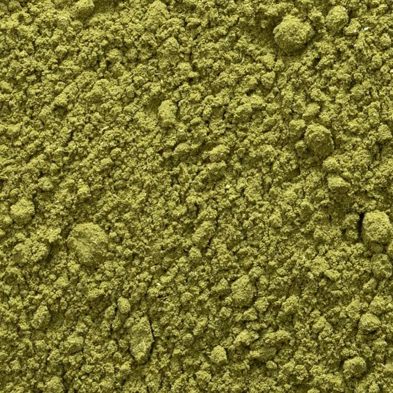 Frontier Co-op Scullcap Herb Powder, Certified Organic, Kosher | 1 lb. Bulk Bag | Scutellaria lateriflora L. - Image 3
