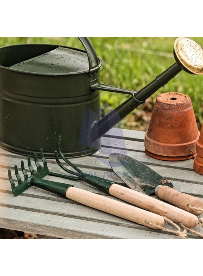 Royal Apex Garden Trowel Stainless Steel Scoop With Wooden Handle - Image 4