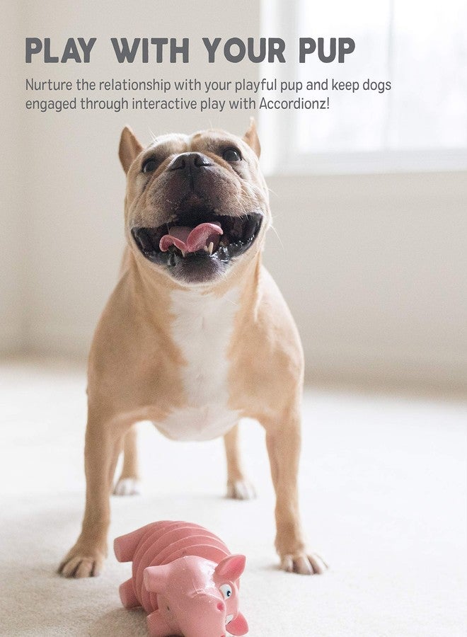 Outward Hound Accordionz Latex Rubber Squeaking Toy - Squeaky and Grunting Dog Toy, Alligator - Image 5