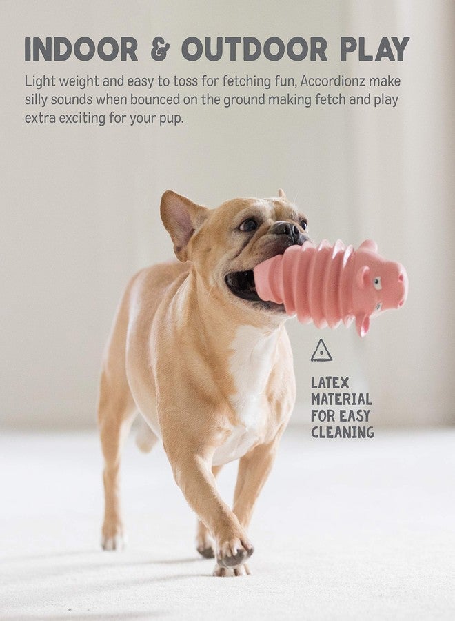 Outward Hound Accordionz Latex Rubber Squeaking Toy - Squeaky and Grunting Dog Toy, Alligator - Image 4