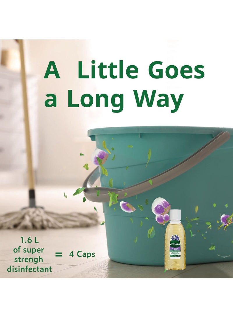 Zoflora مطهر مركز متعدد الأغراض برائحة اللافندر - Image 5
