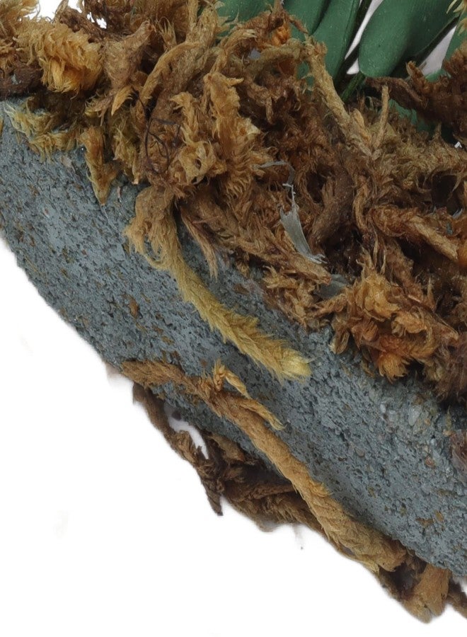 زيروديس زهور محاكاة لبيت الدمية، ديكور حديقة مصغر لبيت الدمية مصنوع من الطحالب، ديكور لبيت الدمية مصنوع من الزهور والعشب للأطفال - Image 5